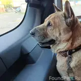 Фото 1