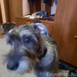 Фото 1
