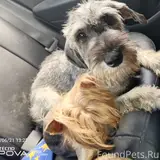 Фото 2