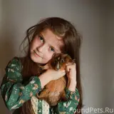 Фото 3