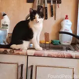 Фото 1