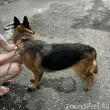 Фото 4