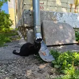 Фото 3