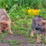 Фото 4