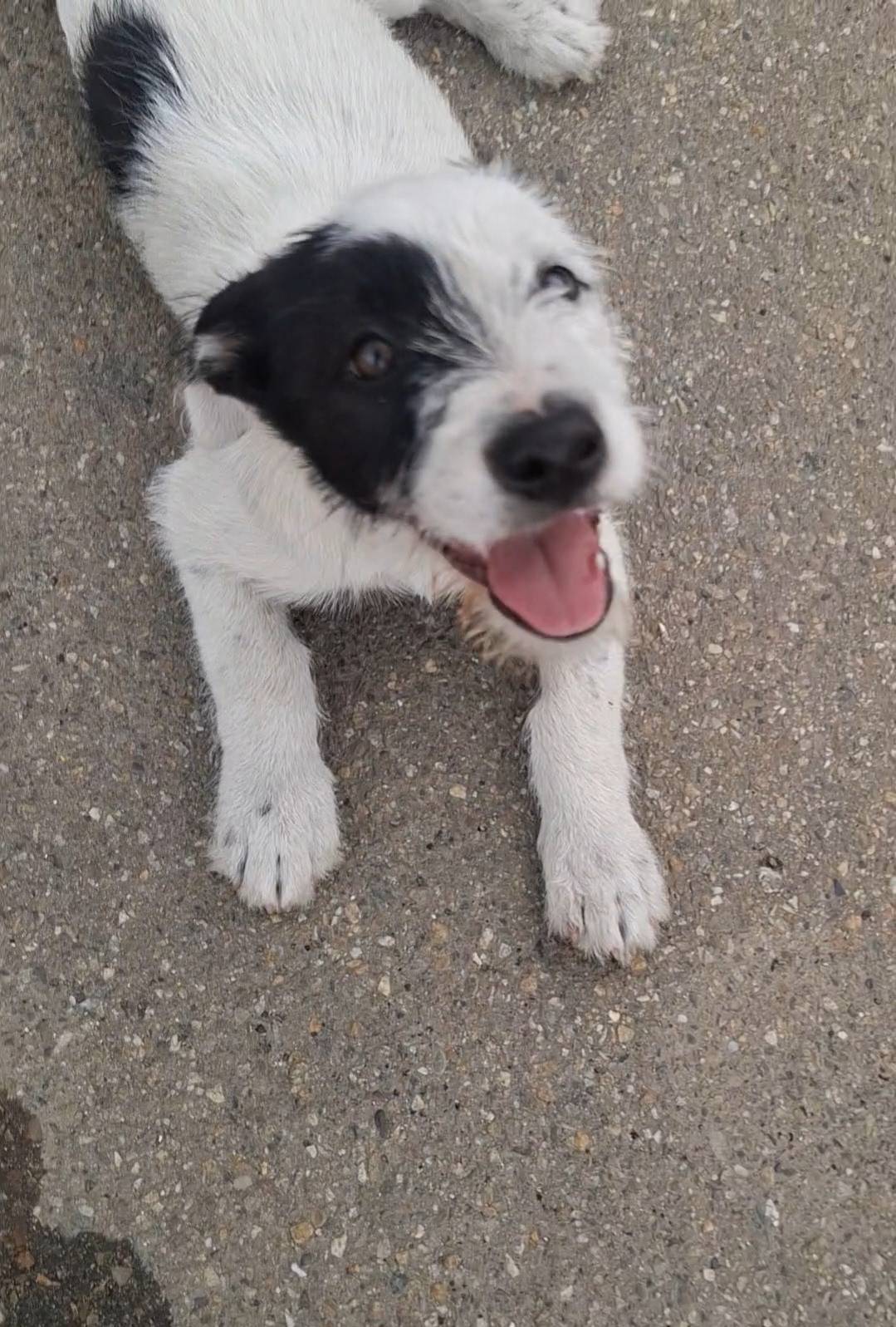 Фото 2