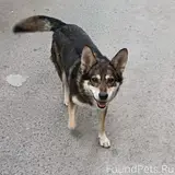 Фото 1