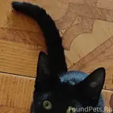 Фото 2