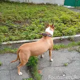 Фото 4