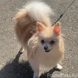 Фото 2