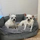 Фото 1