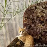 Фото 3