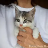 Фото 3