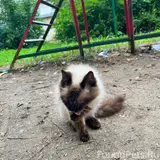 Фото 2