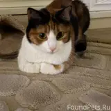 Фото 2