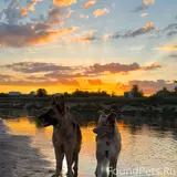 Фото 4