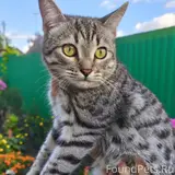 Фото 3