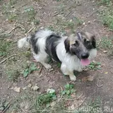 Фото 3