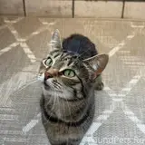 Фото 1