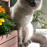 Фото 3