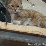 Фото 1