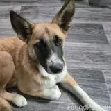 Фото 2