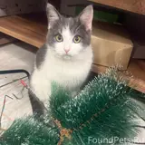 Фото 1