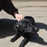 Фото 3