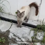 Фото 3