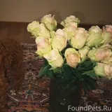Фото 2