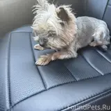 Фото 1