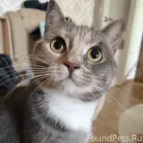 Фото 1
