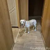 Фото 1