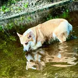 Фото 3
