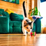 Фото 4