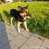 Фото 4