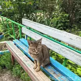 Фото 3