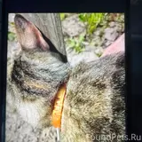 Фото 3