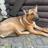 Фото 3