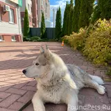 Фото 3