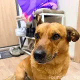 Фото 1