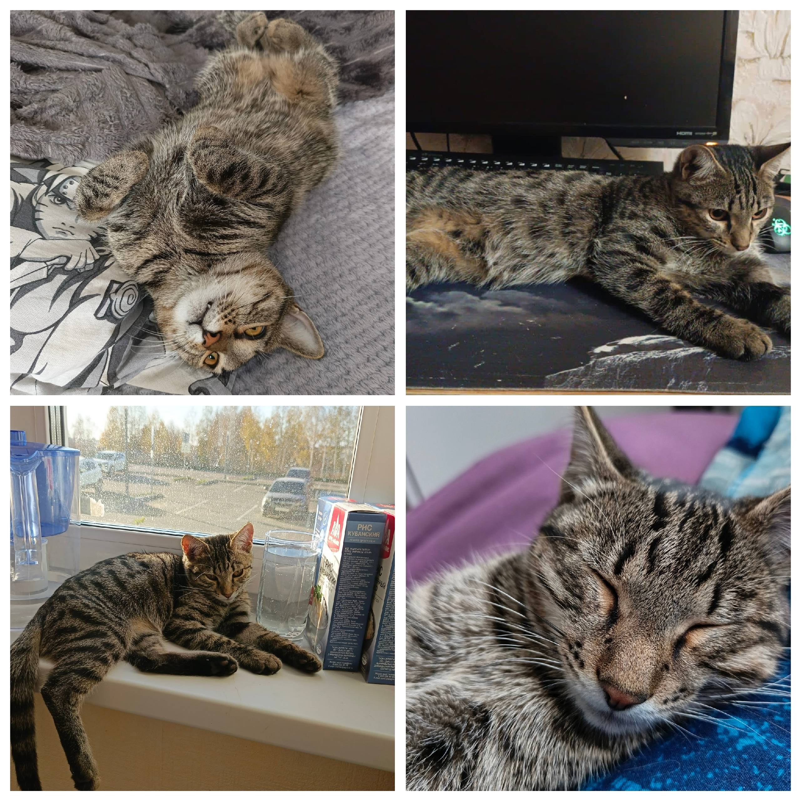 Фото 3