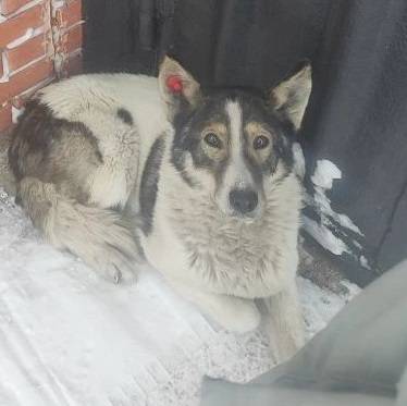 Фото 3