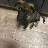 Фото 2