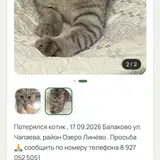Фото 2