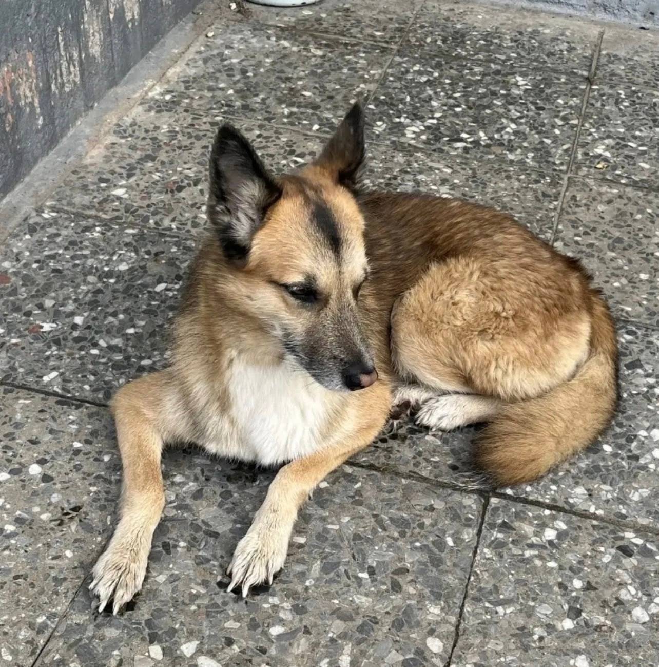 Фото 1