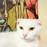 Фото 3