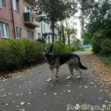 Фото 3