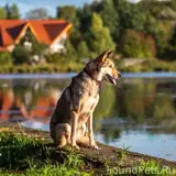 Фото 3