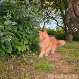 Фото 3