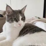 Фото 1